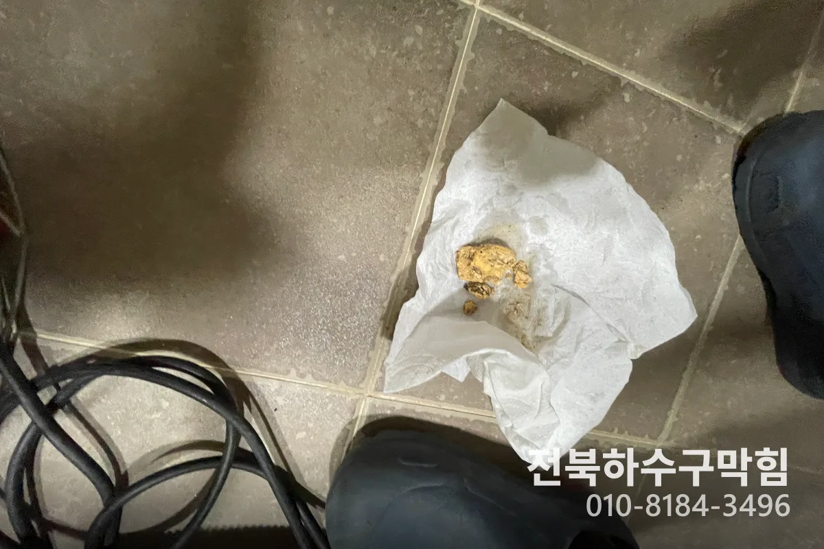 전주시 삼천동 변기막힘 작업 전 배관 상태 진단